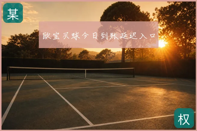 欧宝买球今日到账延迟入口
